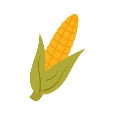 Olgun mısır. Şükran Günü tasarımı. İzole edilmiş arka plan. Vektör düz resimleme.