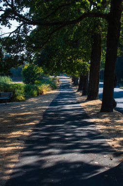 Ren durig öğleden sonra Seward Partk, Seattle, WA 'da yürüyüşe çıktı.