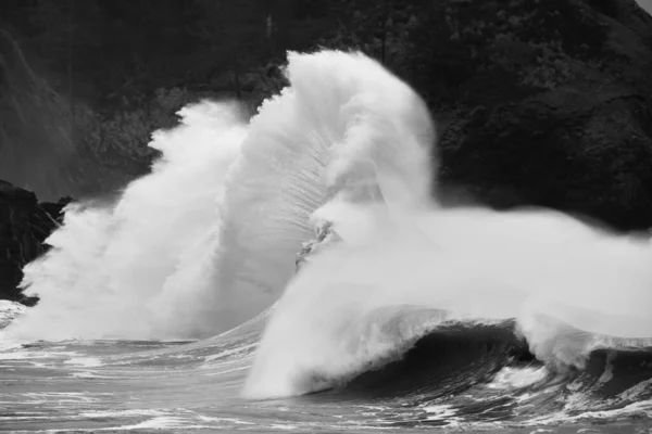 ケープディスアポイントメントは 太平洋の嵐の間 特にタイド王の間 劇的な波の写真のための人気のある目的地です — ストック写真