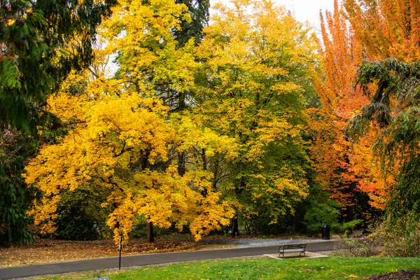 Taget Washington Park Arboretum Seattle Washington Hösten 2022 — Stockfoto