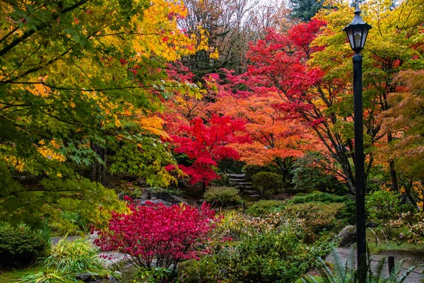 Zrobione Jesienią 2022 Roku Ogrodzie Japońskim — Zdjęcie stockowe
