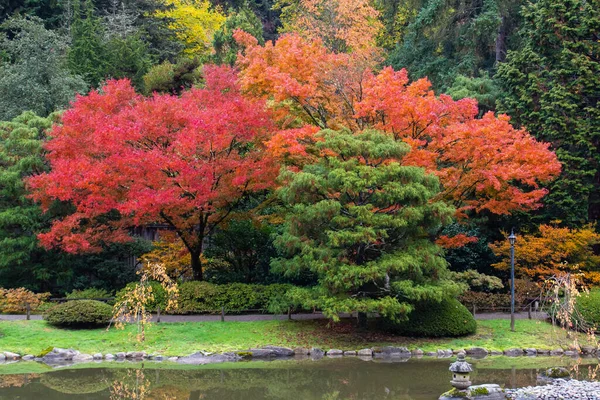 Zrobione Jesienią 2022 Roku Ogrodzie Japońskim — Zdjęcie stockowe