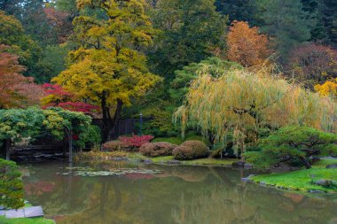 2022 sonbaharında Japon Bahçesi 'nde çekildi.