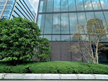 Japonya 'da ağaçlarla çevrili bir ofis.