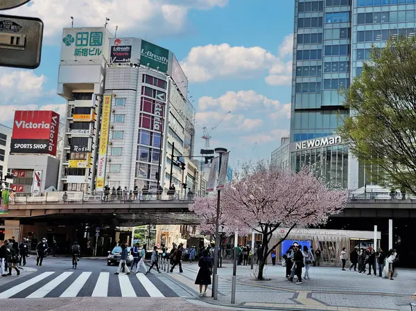 Belo Começo Nas Cidades Japão — Fotografia de Stock