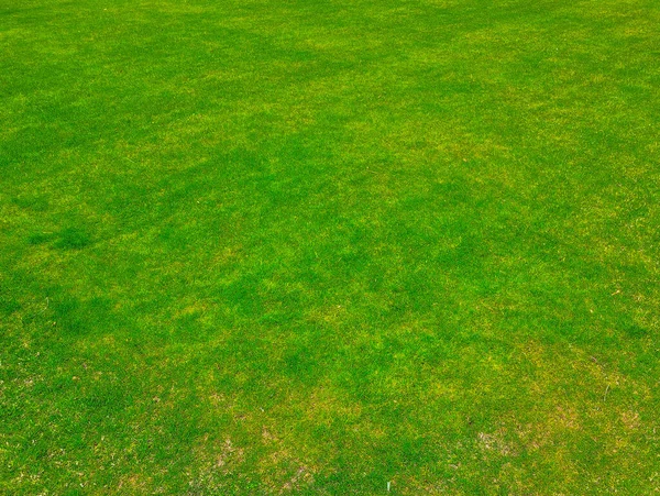 Grönt Gräs Struktur Parken — Stockfoto