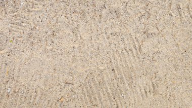 Sahilde Kum Dokusunu Yakınlaştır 