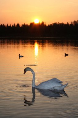 Sonnenuntergang am Lech - Bayern / Sundown at River Lech - Bavyera /