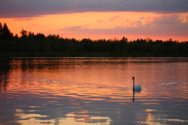 Sonnenuntergang am Lech - Bayern / Sundown at River Lech - Bavyera /