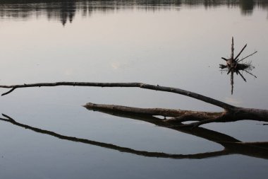 Lech - Bayern / River Lech - Bavyera