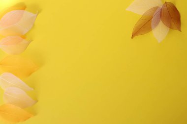 Yapay sonbahar yaprakları, yakın plan, düz alan, yatay bileşim