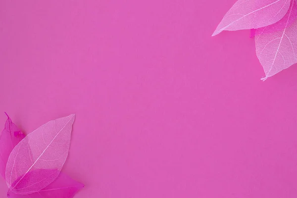 Розовый Фон Скелетами Листьев Лепестков Бокам Плоская Лежала Вид Сверху — стоковое фото