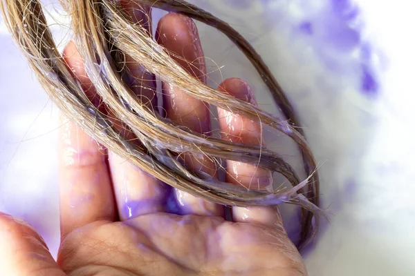 Coiffeur Maître Applique Masque Violet Sur Les Cheveux Blonds Pour — Photo