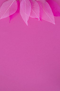 Fotokopi alanı ve kenarlarında kurumuş yaprak iskeletleri olan çok güzel dikey pembe arkaplan..