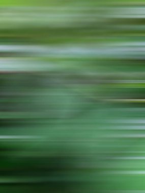 Doğanın soyut yeşil arka planı. Odaklanmamış yatay çizgilere yakın çekim. Dinamik yeşil arkaplan.