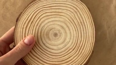 Cut of a tree trunk with annual rings on a vintage background in a womans hand. View directly overhead