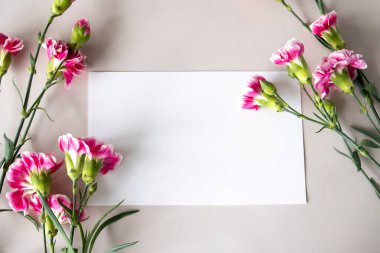 Mockup white blank card decorated with pink carnations on the edges, space for your text.