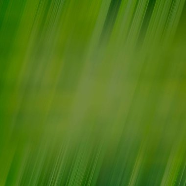 Green abstract background with diagonal lines. Blur in motion, square photo.