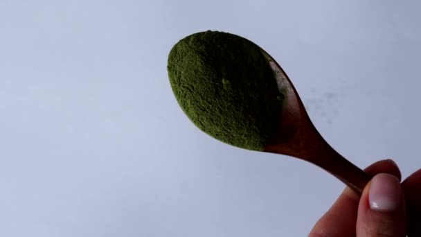 Freeze Dried Wheatgrass Powder Wooden Spoon Alternative Medicine Herbal Nutritional — ストック動画