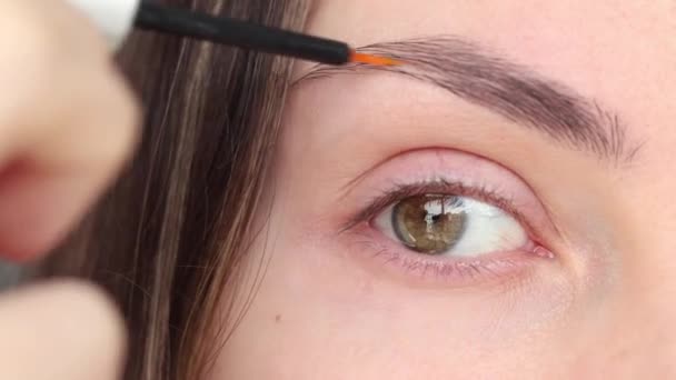 Eyebrow Serum Women Open Eyed Girl Applying Serum Essential Oils — Stockvideo