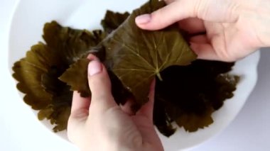 Womans hands unfold a roll of leaves. Pickled grape leaves rolled up in a roll, close-up