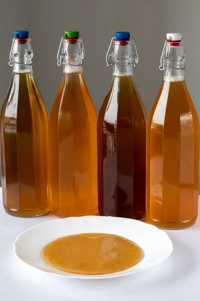 Kombucha Drink Made Sweet Tea Using Culture Bacteria Yeast Four — Stockfoto
