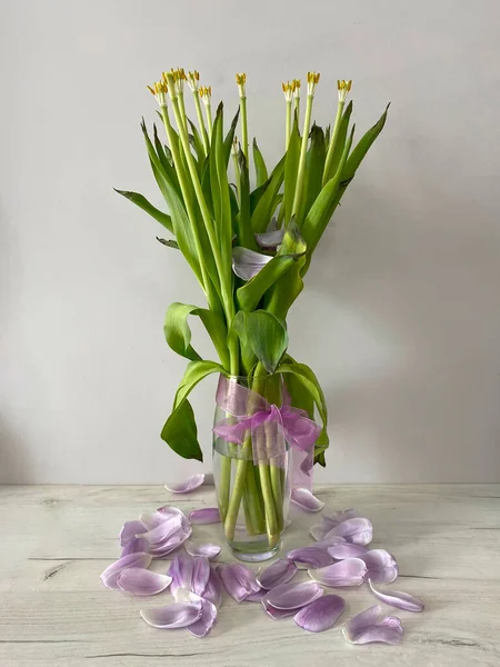 Vaza Petale Flori Lalea Căzute Buchetul Ofilit — Fotografie, imagine de stoc