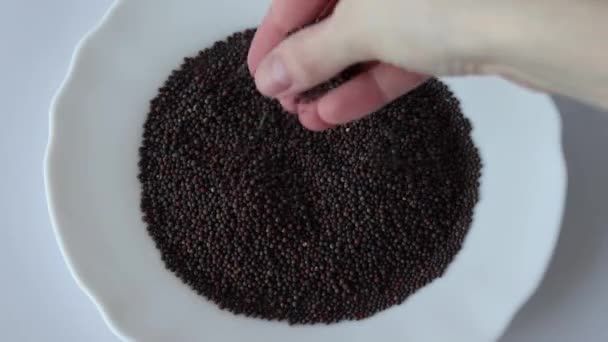 Семена Брокколи Прорастают Женскую Руку Тарелку — стоковое видео