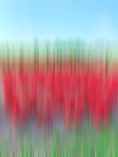 Ett Fält Med Röda Färger Vertikal Dimmig Rörelse — Stockfoto
