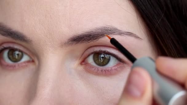 Kvinna Applicerar Ögonbrynsprodukt Närbild — Stockvideo