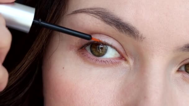 Kvinna Applicerar Ögonfrans Tillväxt Produkt Närbild — Stockvideo