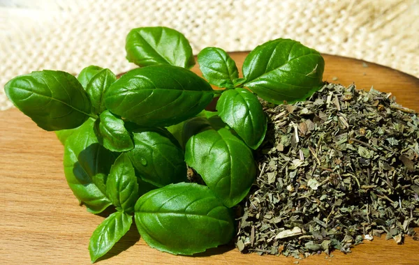 Basil. Dried and fresh basil on a kitchen board. Fragrant spice for cooking.