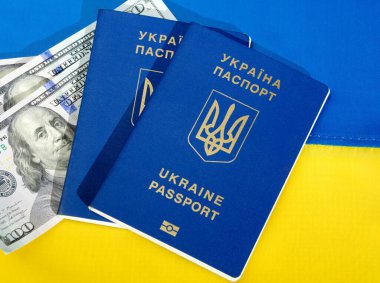 Ukrayna pasaportu ve para birimi Ukrayna bayrağının arka planında. Rus birliklerinin işgali ile ilgili olarak Ukrayna halkına maddi yardım.