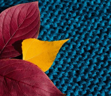 Berquoise renginde yarı yün kış ipliği üzerinde sonbahar yaprakları. Jartiyer dikişine yakın çekim.