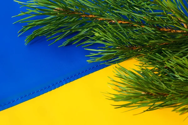 Ukrainskt Pass Och Julgran Grenar Mot Bakgrund Den Ukrainska Flaggan Royaltyfria Stockbilder