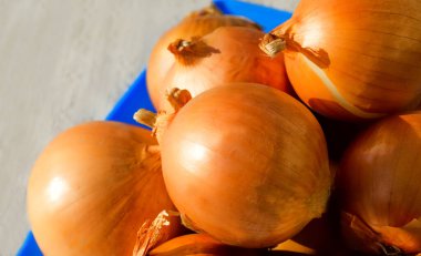 Altın soğanlar mavi tabakta, keten havluya karşı. Markette taze soğan var..