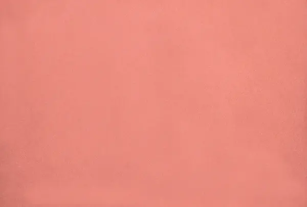 Background for text. The background is coral color, the basis for objects, text and anything else.