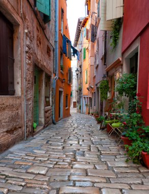 Hırvatistan 'ın Rovinj kentinde renkli bir cadde. Yaya taşları, saksılarda çiçekler..