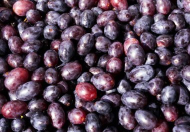 Yıkandıktan sonra üzüm. Temiz olgun üzüm çekirdekleri. Üst Manzara. Üzüm arkaplan dokusu.