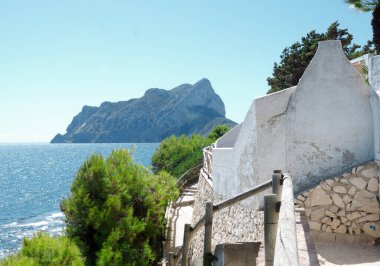 Siyah plastik bir paket konteynırın üzerinde duran suşi rulolarının yakın çekimi. Ekmekler güzelce dilimlenmiş avokadoyla süslenmiş, susam tohumları serpiştirilmiş, bir tepecik turşu zencefil ve bir tutam wasabi..