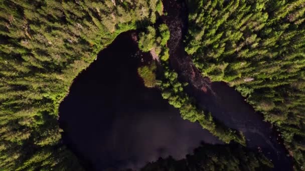 Letecký Pohled Shora Dolů Nad Krásným Malebným Jezerem Řekou Nad — Stock video