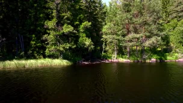 Vue Ruisseau Dans Ombre Qui Écoule Sur Petit Lac Vue — Video