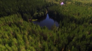 Aerial top down view of beautiful small mountain lake. Birds eye view of scenic blue lake surrounded by evergreen forest in scandinavian nature. Summer season coniferous forest in the wilderness of northern europe. 4K resolution Ambjorby, Sweden