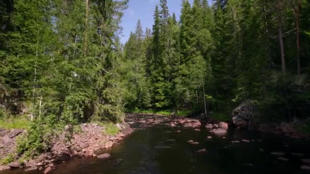 Вверх Течению Красивой Природной Горной Реке Валунами Высокими Соснами Шведской — стоковое видео