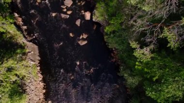 Top down view of a mountain river, water flowing over the boulders with rapids surrounded by evergreen pine forest. Slowly descending from the treetops to the water surface. In the green woodland wilderness of Northern Europe 4k Ambjorby, Sweden