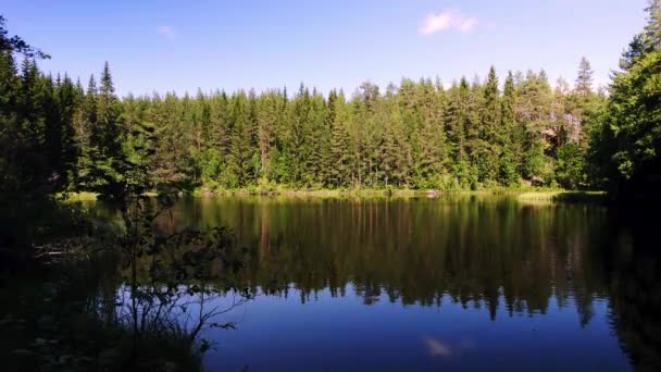 スウェーデンの荒野で常緑の森の湖の上に静的なショット 松の木の影が水に反映されます 青い空だ アンボジョビー ヴァルムラント スウェーデンの手付かずの自然の低角度ビュー — ストック動画
