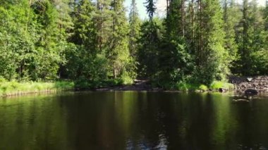 Gölgelerde göle akan bir dere manzarası. Düşük açılı çekimler, İskandinav doğasında güneş ormanın üzerinde parlıyor. İsveç yaz mevsimi, Ambjorby, Varmland 'da güneşli bir günde ormanda akarsu.