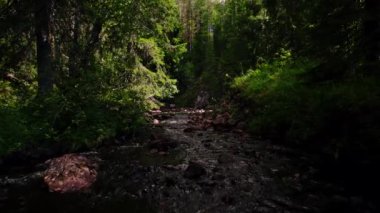 İskandinav ormanında alçak açılı büyülü orman nehri. Sakin akan sular, gri ve bronzlaşmış kayalar, çam ağaçları, huş ağaçları ve gri kayalıklar. Dalların arasından gölgeler ve güneş ışığı. Ambjorby, Varmland, İsveç