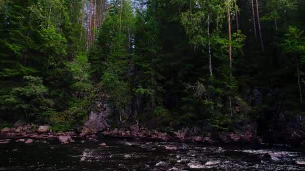 Sueco Natureza Montanha Rio Jusante Água Corrente Sobre Pedregulhos Árvores — Vídeo de Stock