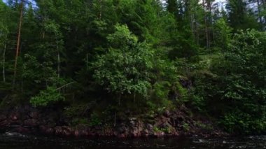 Düşük açı, nehir manzarası, erozyonla kaplanmış uçurum, yaprak döken ağaçlar ve çam ağaçlarıyla kaplanmış, dağdaki nehri ortaya çıkaran kukla görüntüsü. Ambjorby, Varmland 'daki İskandinav yabanı